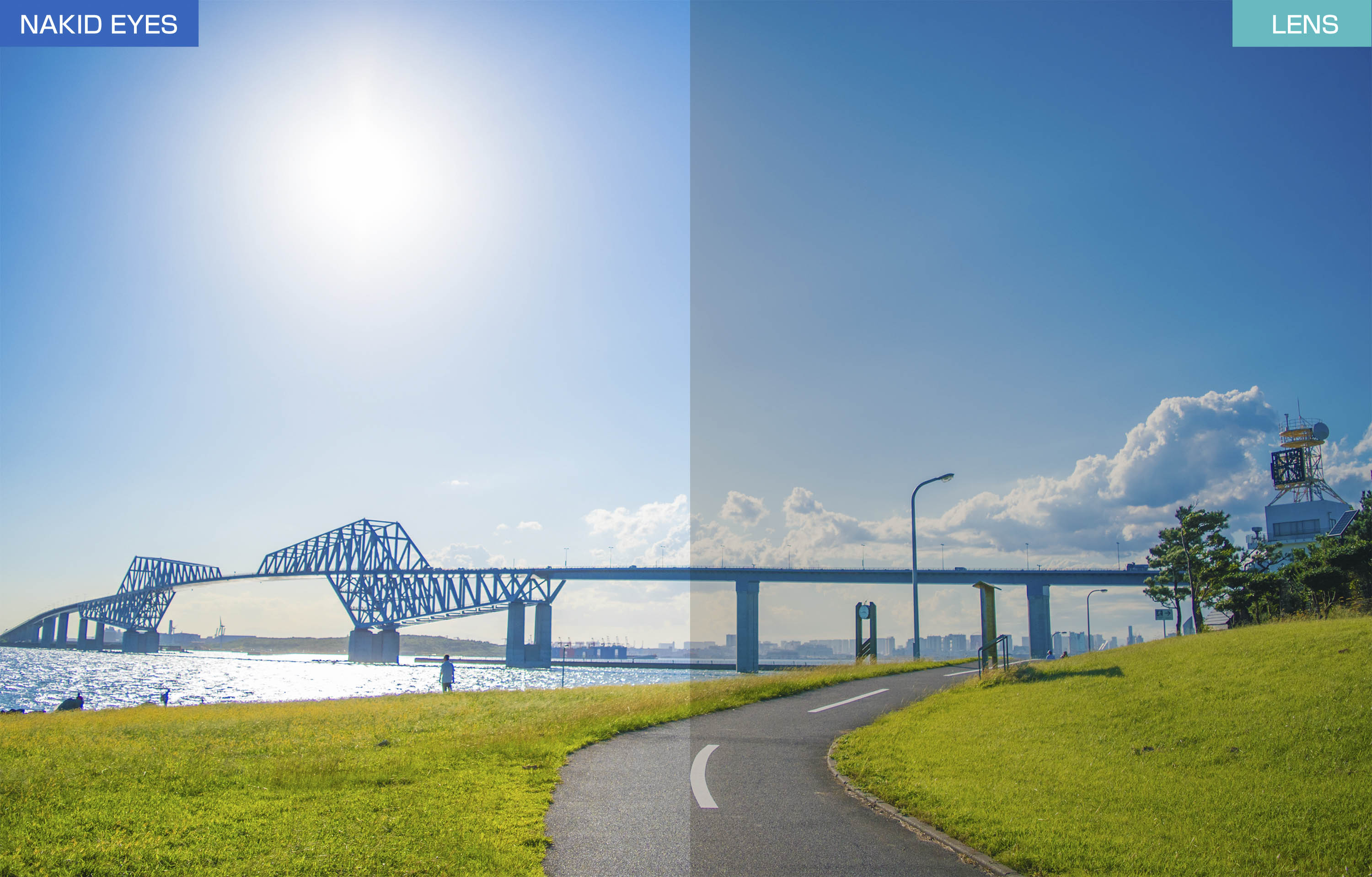 【Airfly】AF301-C31L 無鼻墊運動太陽眼鏡 加大尺寸 螢光黃/灰 3