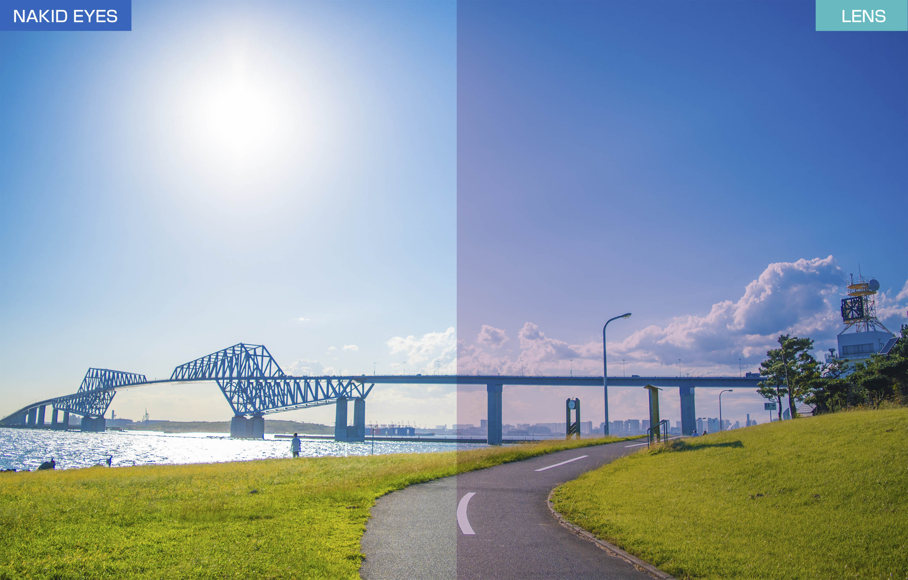 【Airfly】AF301-C34L 無鼻墊運動太陽眼鏡 加大尺寸 透煙灰色/灰 3