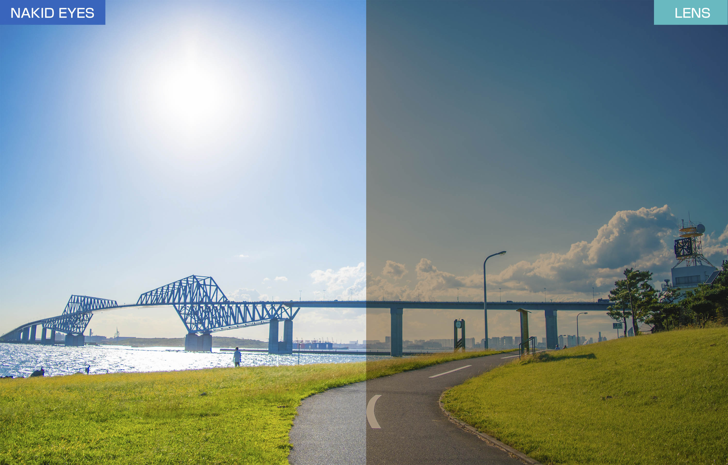 【Airfly】AF301-C4L 無鼻墊運動太陽眼鏡 加大尺寸 迷彩藍 3