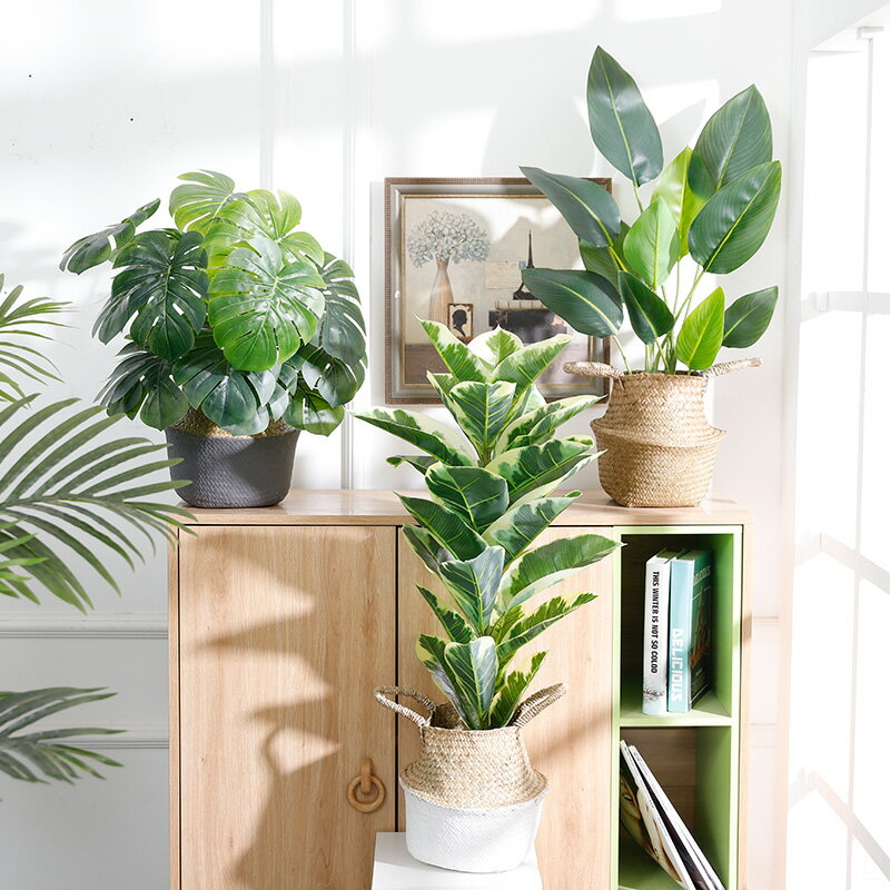 仿真植物辦公室綠植擺件室內迷你桌面落地擺設花假客廳裝飾小盆栽