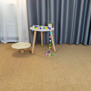 日式小清新仿劍麻拍照地毯茶幾客廳臥室榻榻米貓抓地墊房間大面積