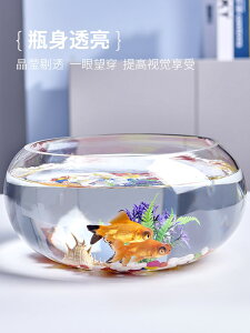 辦公桌小魚缸客廳小型透明玻璃迷你桌面圓形家用創意精致金魚缸