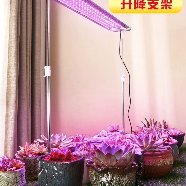 免運 可開票 生長燈 植物生長燈 補光燈 燈管 家用LED植物燈多肉補光燈全光譜上色防徒室內花卉生長仿太陽
