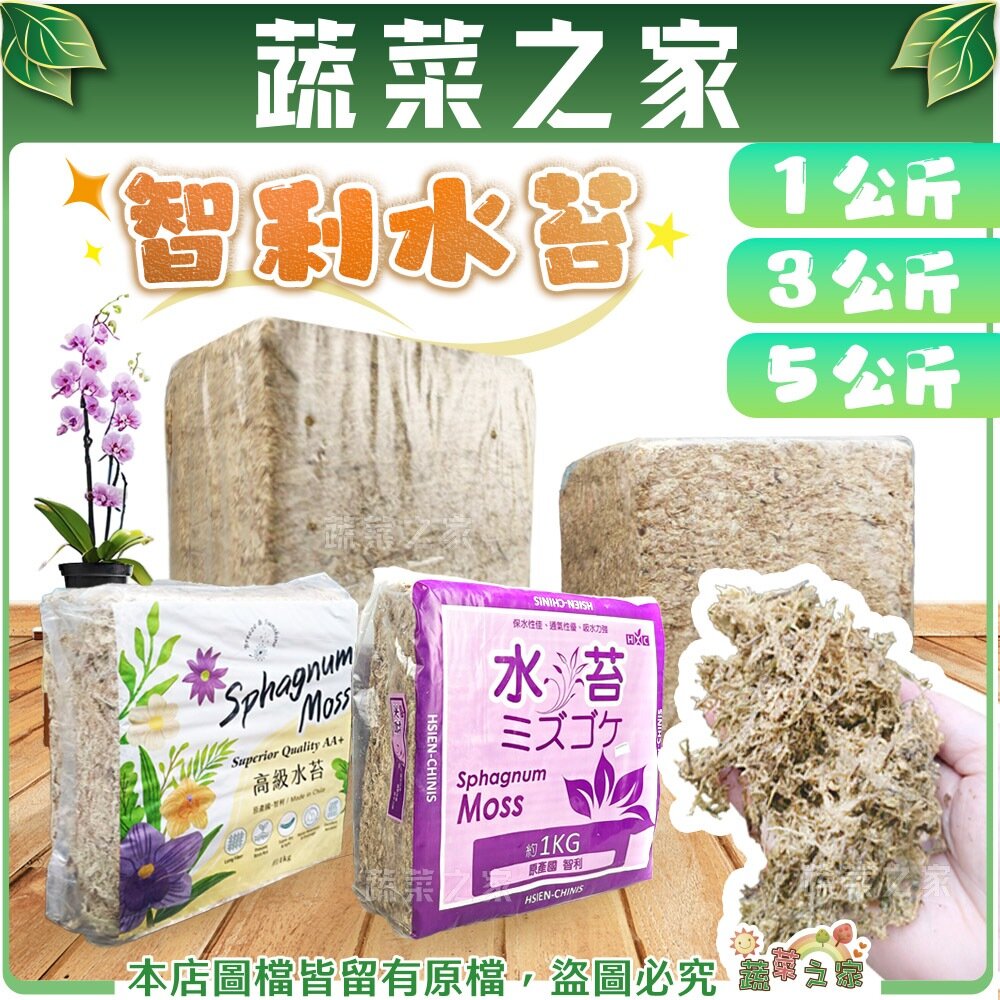 【蔬菜之家】智利水苔(水草)、5A水苔-1公斤、3公斤、5公斤(3種包裝可選) // 蘭花 鹿角蕨 植生板 苔蘚