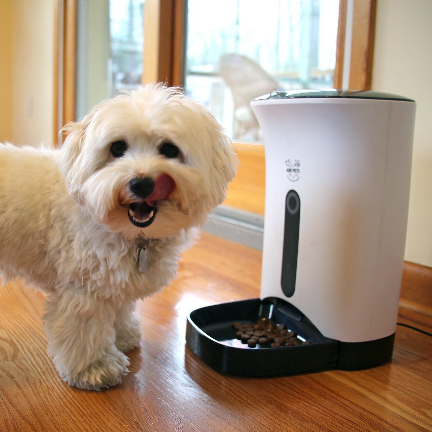 Skymall: Arf Pets Automatic Pet Feeder Food Dispenser for Dogs & Cats