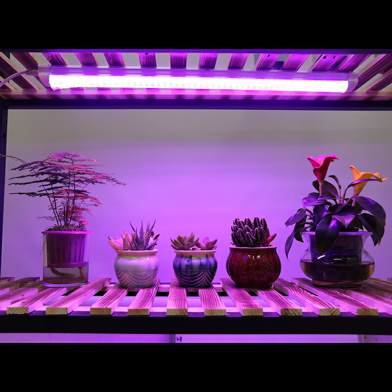 植物補光燈/植物生長燈 多肉補光燈上色仿徒長室內全光譜花卉LED仿太陽家用植物生長燈管【CM10913】