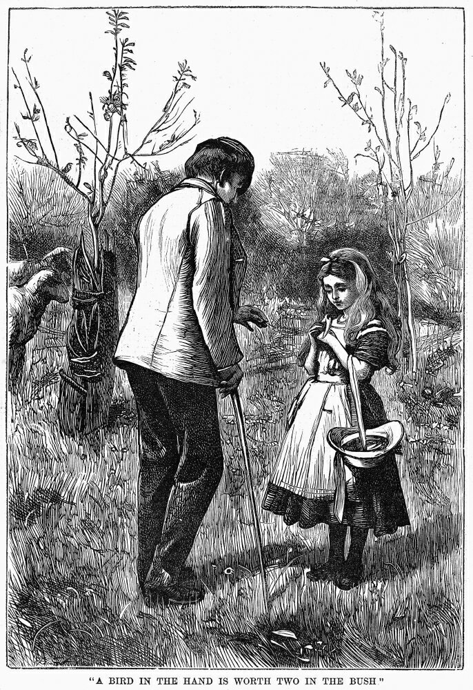 Posterazzi: Girl And Bird 1867 Nillustration For The Proverb A Bird In ...