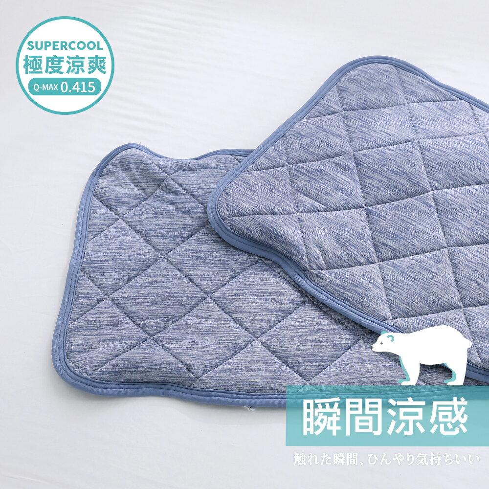 鴻宇 涼感 -5度C/枕墊 枕頭保潔墊 瞬涼可洗抗菌 SUPERCOOL接觸涼感