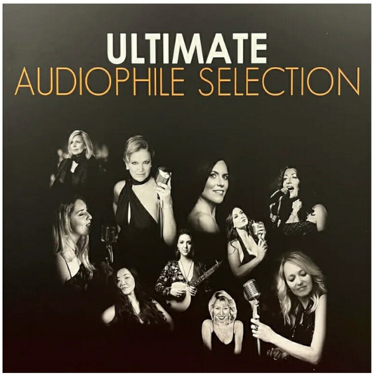 【停看聽音響唱片】【黑膠LP】bsolute Audiophile Selection (ORANGE)
