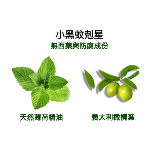 獅牌 小黑蚊剋星 清涼乳膏15g 1