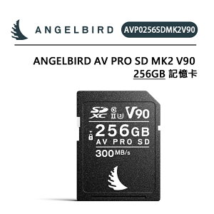EC數位 Angelbird AV Pro SD MK2 V90 256GB 記憶卡 讀取300/寫入280 穩定技術流