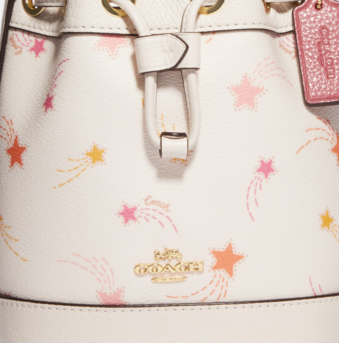 Micro ally store bucket bag coach