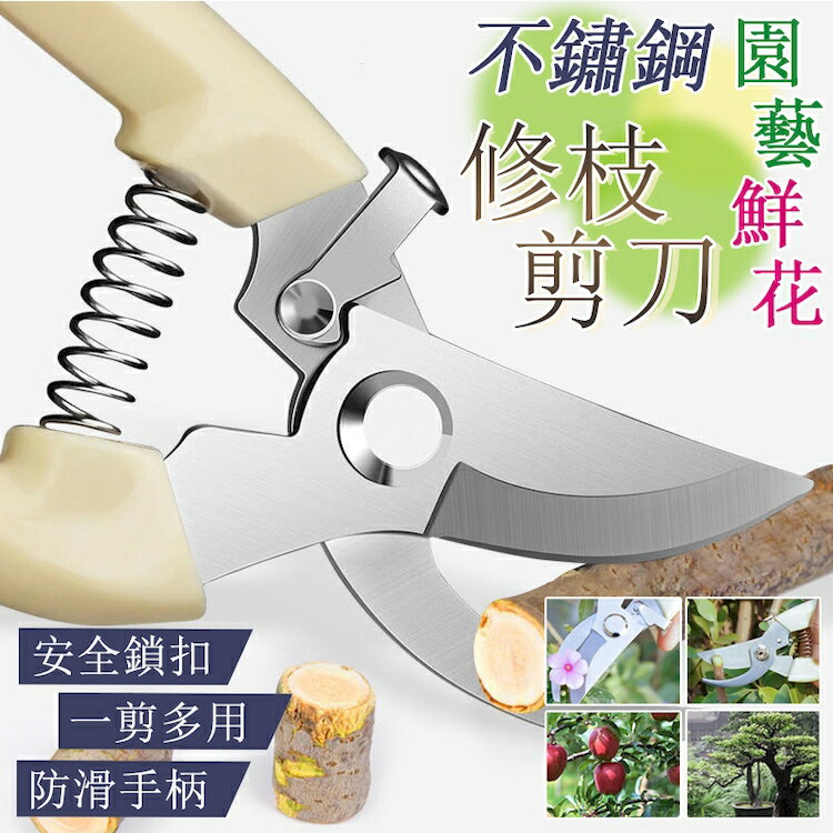[現貨]剪刀 高枝剪 農用剪刀 修枝剪 果樹剪 園藝修枝 花枝剪刀 粗枝剪刀 樹枝剪 不鏽鋼園藝鮮花修枝剪刀