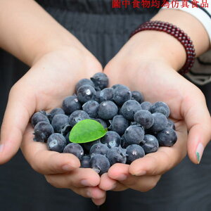 仿真藍莓假藍莓樹莓仿真水果擺件裝飾道具蔬菜菡菡仿真水果模型