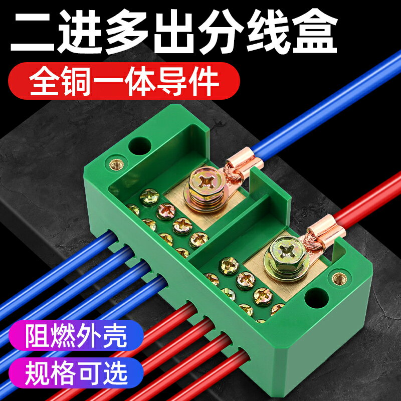 連線端子 快速接頭 接線端子 分線盒二進十二出接線盒家用電線連接器分線器接線端子並線器『FY00137』