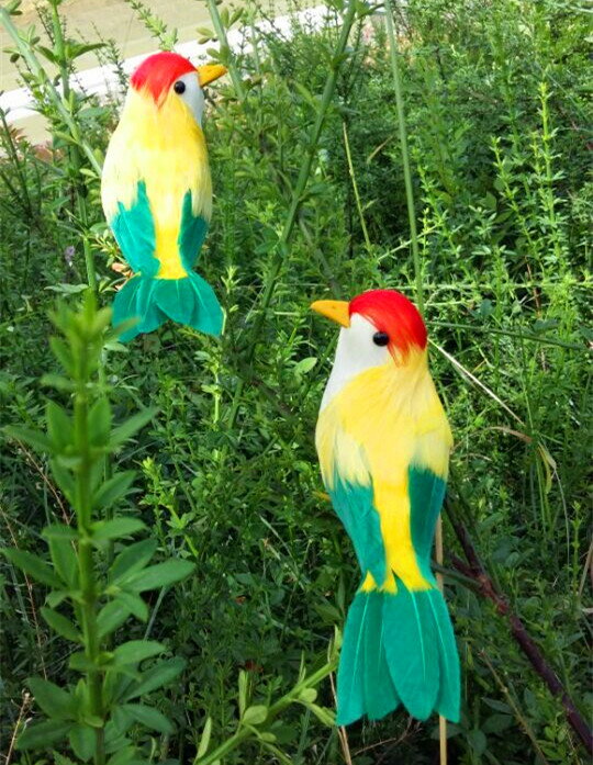 定做各種動物模型 仿真喜鵲 彩色羽毛小鳥園林裝飾 攝影教學道具