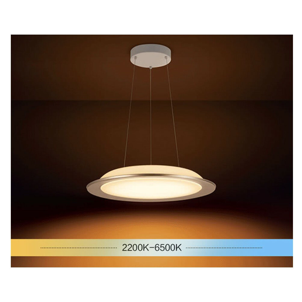 Philips HUE Muscari 睿晨LED 45W 智能吊燈 6