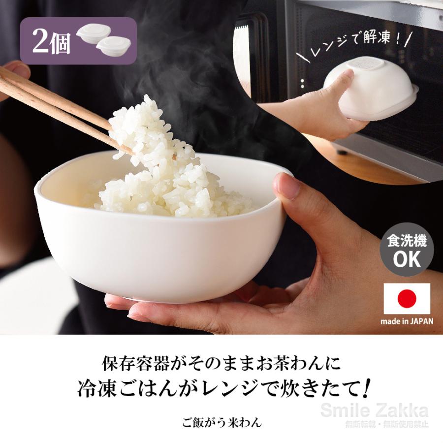 大賀屋 日本製 Arnes 微波米飯盒 米飯保鮮盒 2入 微波盒 解凍盒 米飯盒 冷凍盒 儲存盒 微波飯盒 J00054162