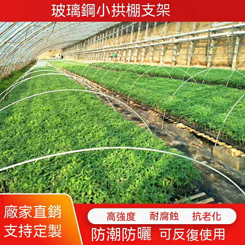 免運 玻璃纖維棒 種植拱棚 拱棚支架 實心玻璃縴維桿棒 大棚塑膠養殖骨架 農傢用菜棚支架 特價出 可開發票