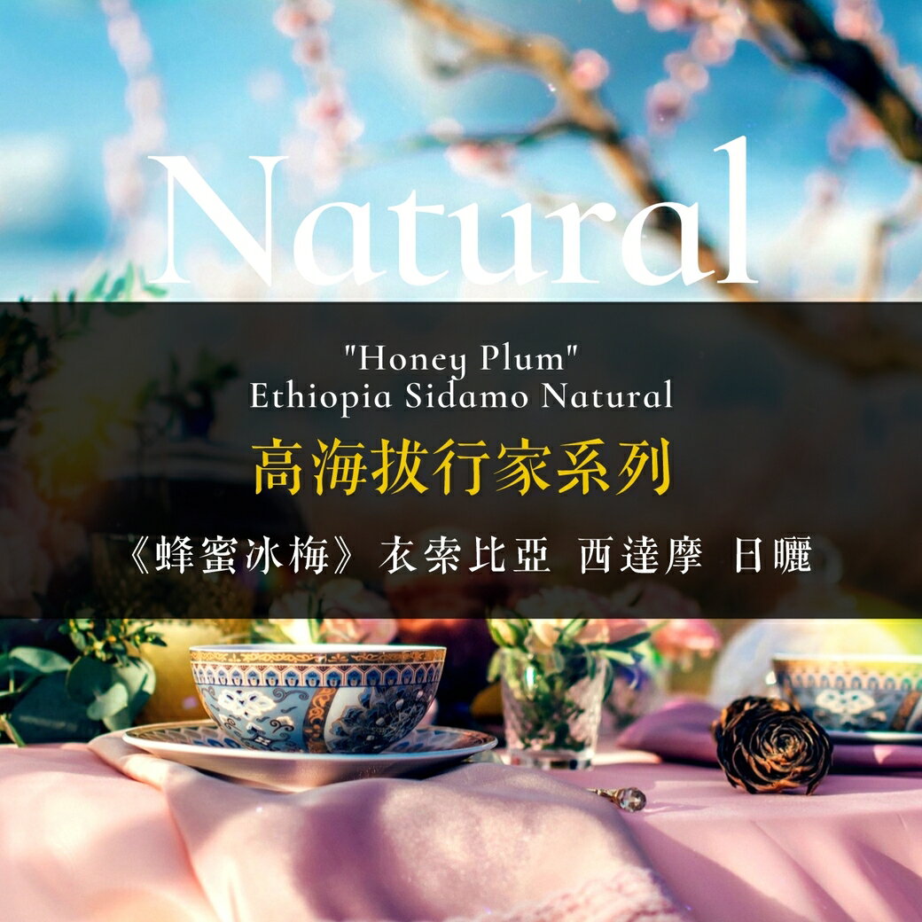 淺烘焙︱高海拔行家系列《蜂蜜冰梅》衣索比亞 西達摩 蜂蜜冰梅 日曬 ﹙半磅裝／227g﹚| 浪館手工豆