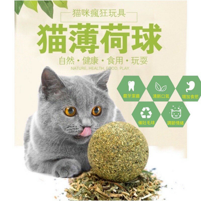現貨特價 貓咪薄荷球 貓草 貓咪用品 貓薄荷草 貓薄荷 木天蓼 貓玩具 貓咪玩具 貓咪薄荷球 貓用品 貓奴 貓爪 貓掌
