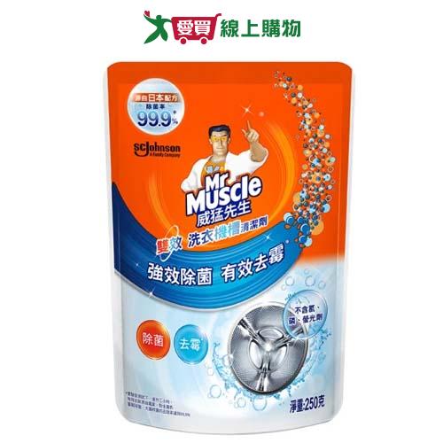 威猛先生洗衣機槽清潔劑250g【愛買】