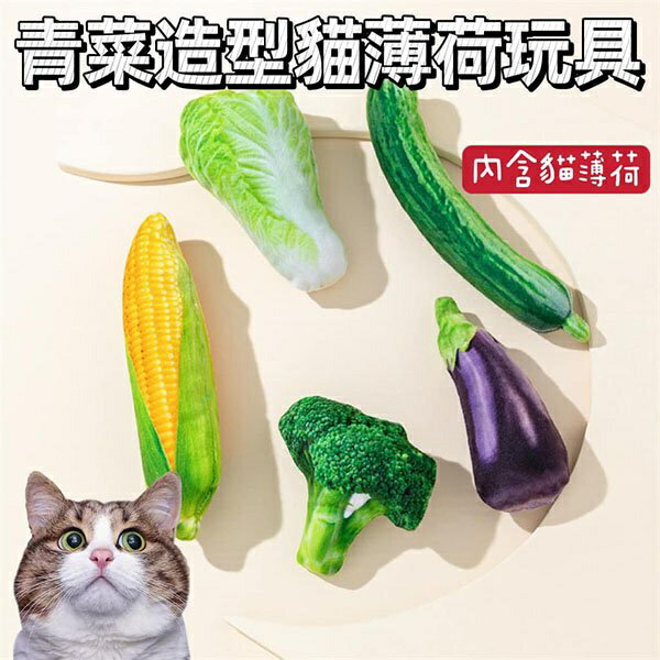 『台灣x現貨秒出』青菜造型貓薄荷寵物玩具 貓咪玩具 貓玩具 貓草包 貓草玩具 貓薄荷玩具