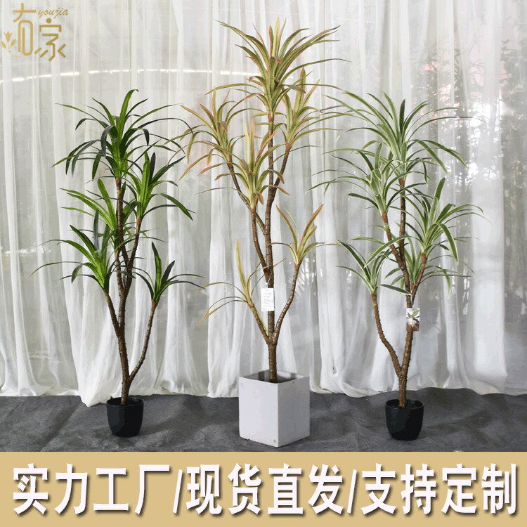 快速出貨 可開發票 軟裝專供模擬龍血鐵樹北歐巴西木假盆栽裝飾人造熱帶植物景觀造景