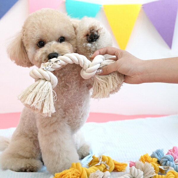 韓國【ParisDog】俏皮純棉繩結玩具 (顏色隨機出貨) 寵物玩具