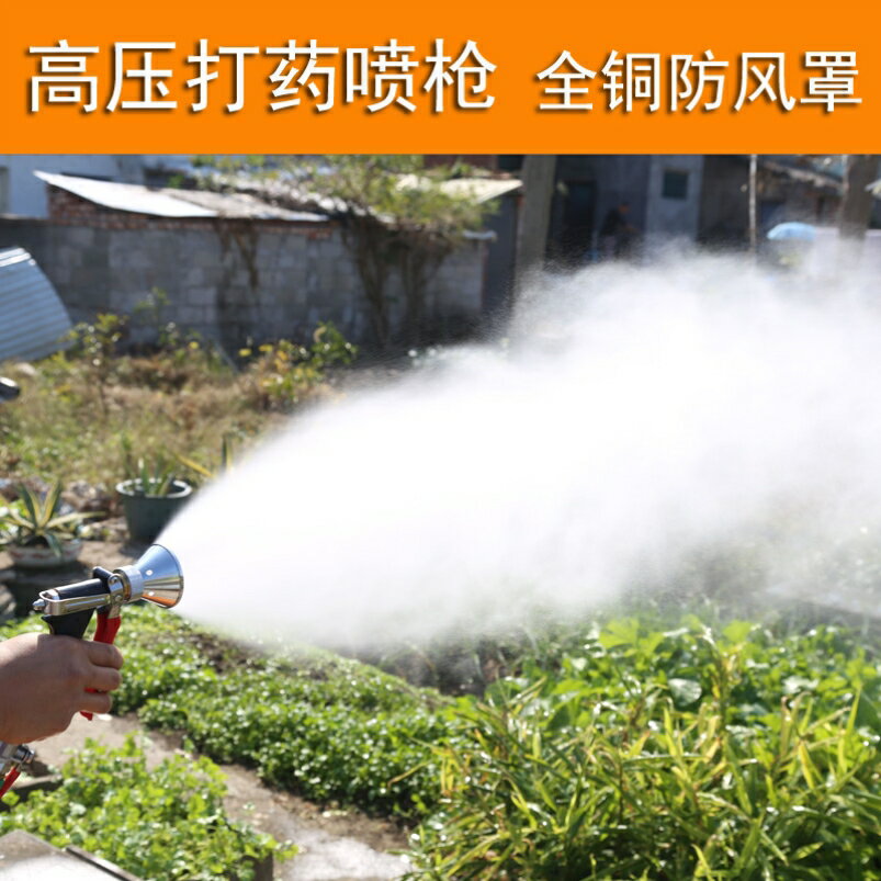 農用打藥噴槍高壓泵打藥機果樹大棚全銅可調霧化板式噴霧手壓水槍