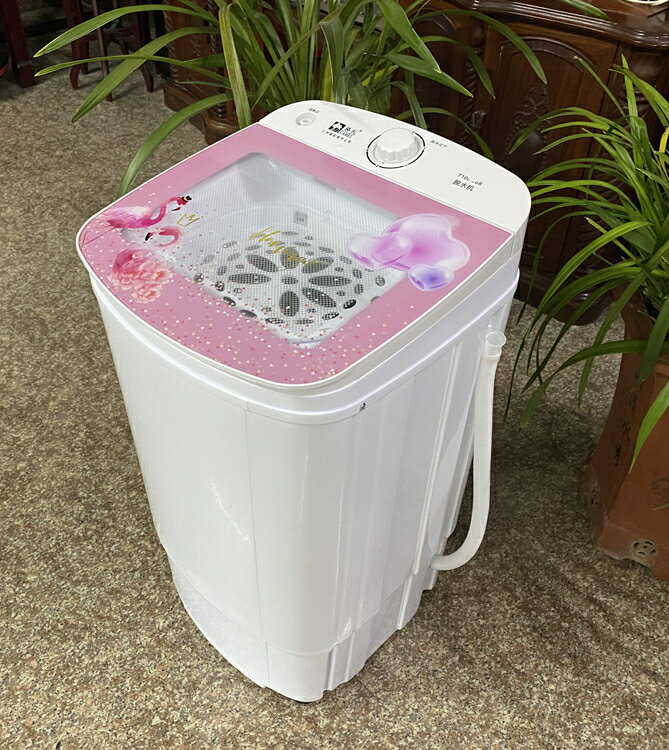 【台灣公司 可開發票】駱駝脫水機烘干機家用干燥桶小型單轉單脫水桶大容量宿舍出租迷你 2