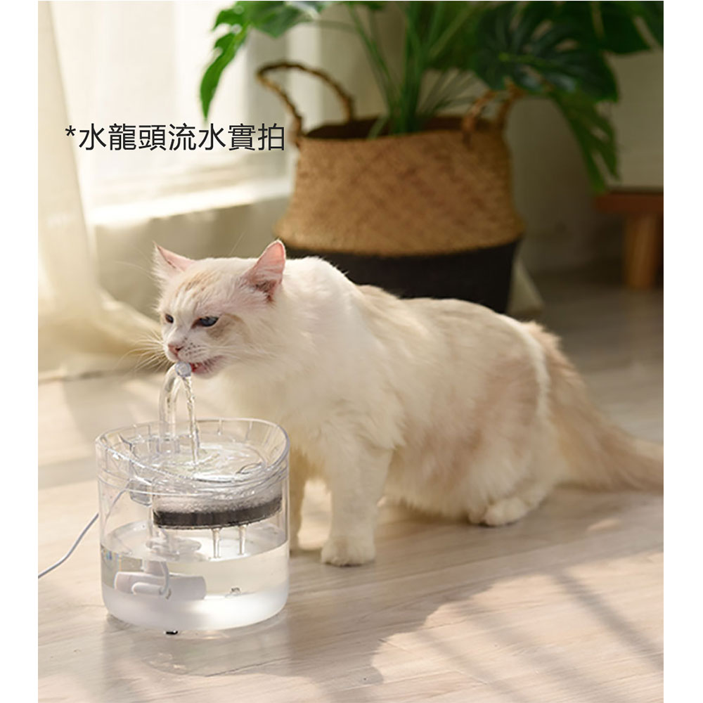 現貨免運 寵物飲水機 餵水器 餵食器 貓咪飲水器自動循環貓用飲水機陶瓷智能靜音流動貓喝水器寵物用品 全館免運