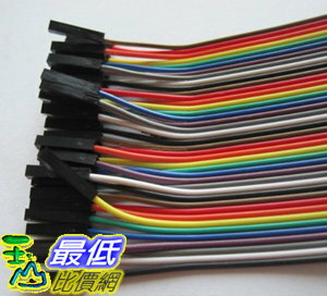 [106美國直購] 電纜線 Phantom YoYo 40P dupont cable 200mm male to female