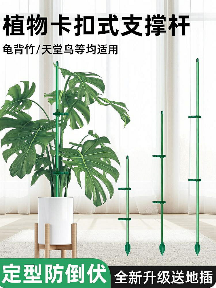 植物龜背竹支撐桿固定支架花卉金錢樹天堂鳥支撐桿植物防倒伏支架