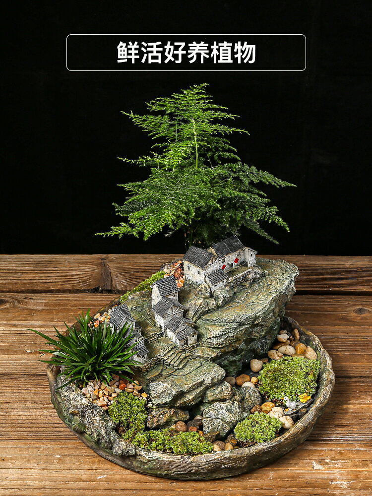 創意復古花盆客廳陽臺微景觀小房子植物盆栽組合茶幾文竹擺件裝飾