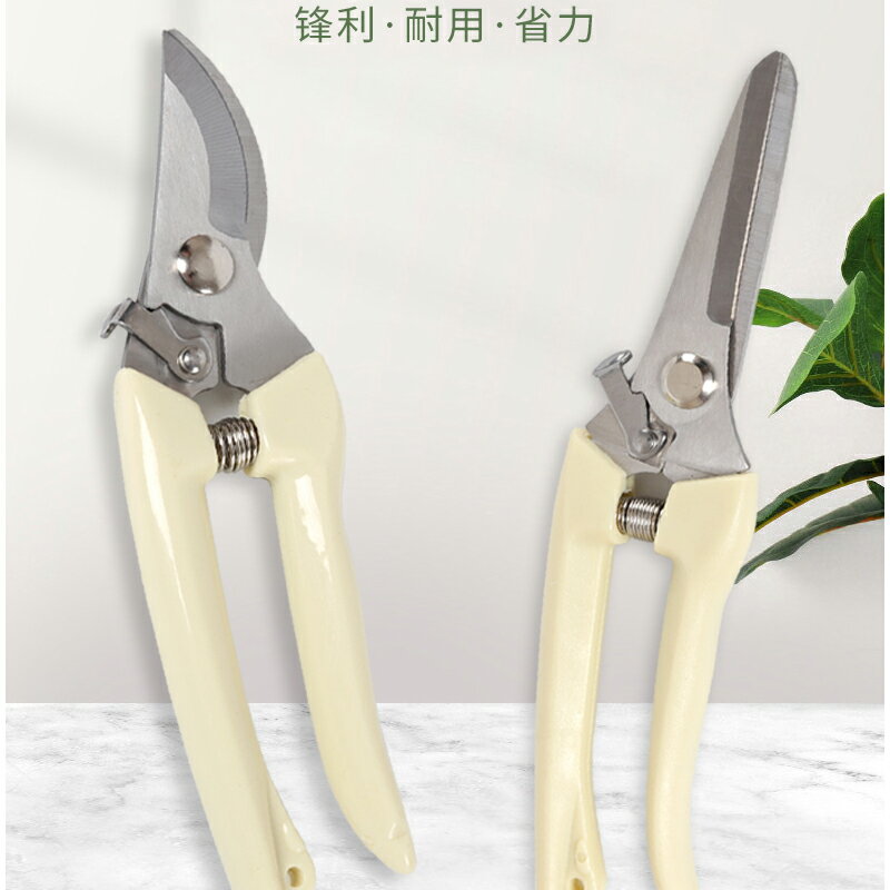 嫁接刀 花枝修剪樹枝強力剪刀園林果枝修理嫁接剪子花藝綠植不銹鋼小剪刀『XY20860』
