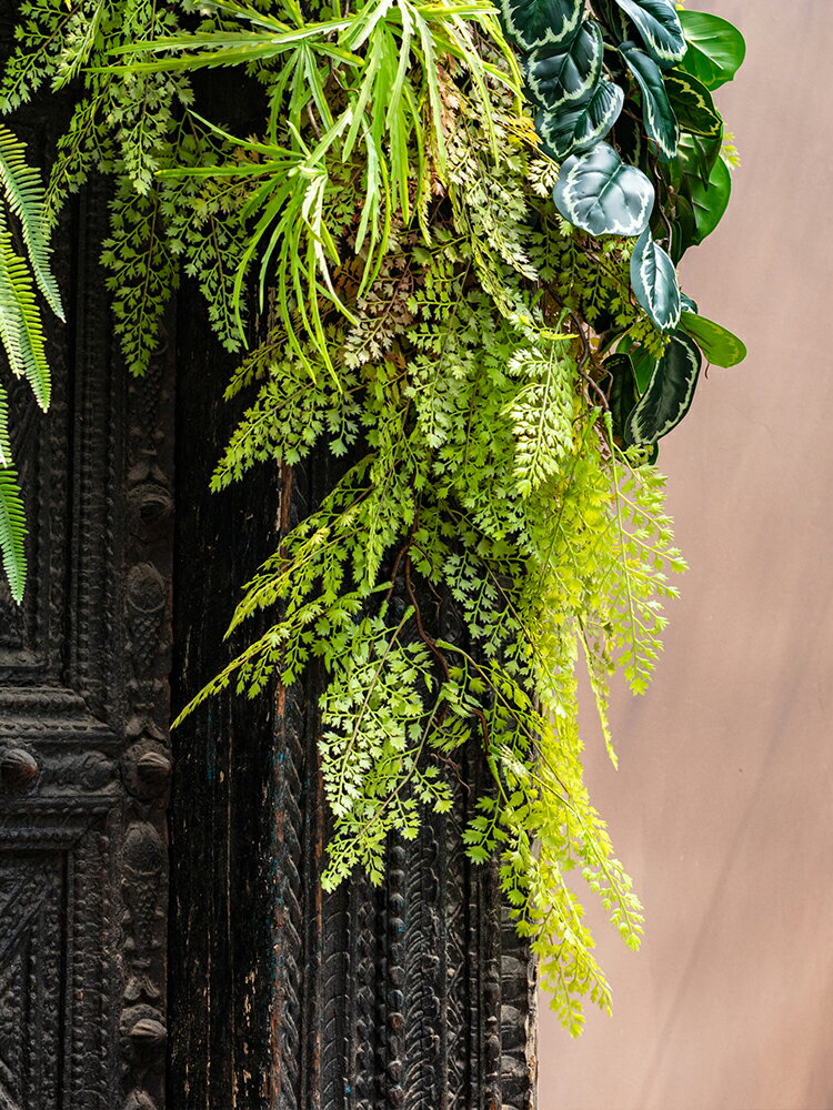 掬涵 仿真蕨類秋色鐵線蕨植物壁掛遮擋吊蘭綠植花藝森系裝飾藤條
