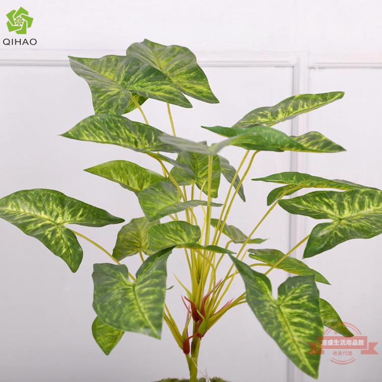 模擬水芋葉 園林造景裝飾仿真植物 家居綠植擺件 滴水觀音 芋頭葉