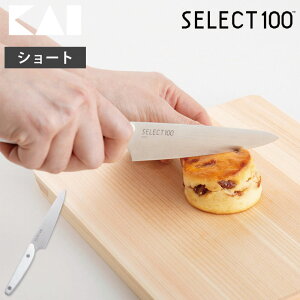 日本貝印KAI－SELECT100 不鏽鋼 切菜刀 水果刀 (12cm) - AB 5062