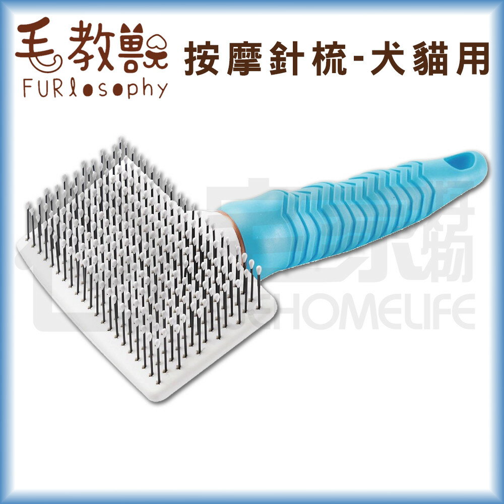 【毛教獸】按摩針梳｜犬用 梳毛清潔 寵物梳毛刷 宅家寵物