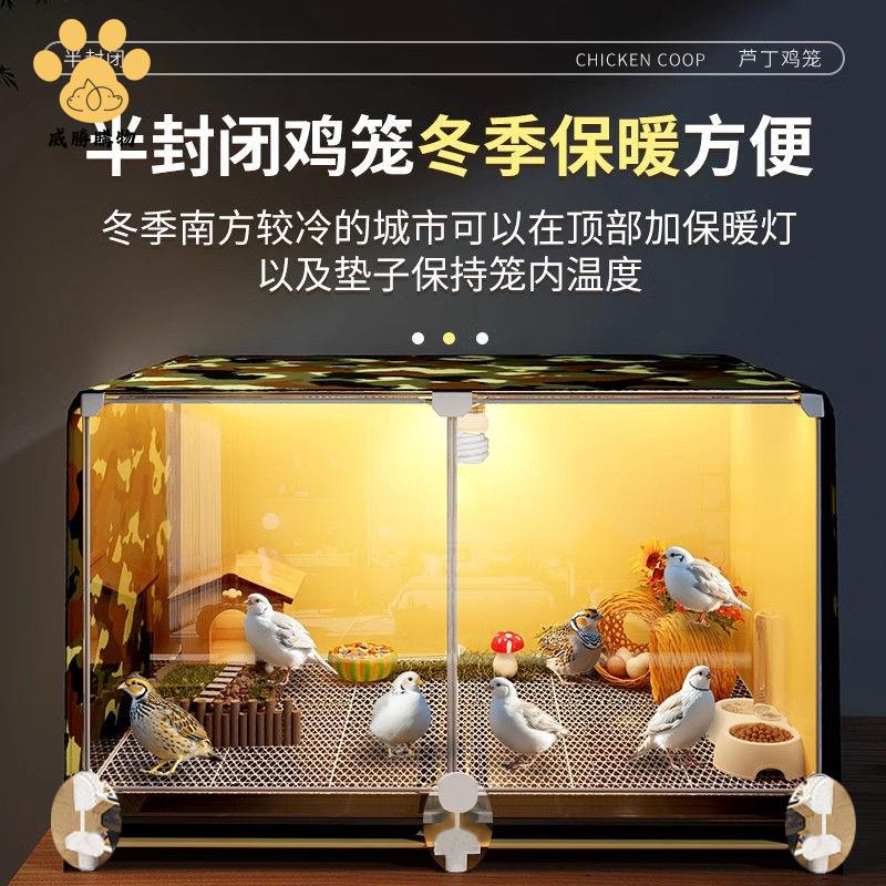 免運開發票 雞籠 養殖籠 兔籠 蘆丁雞飼養箱盧丁雞窩小雞籠子幼雞育雛寵物保溫箱鵪鶉養殖專用籠 八折下殺ly14