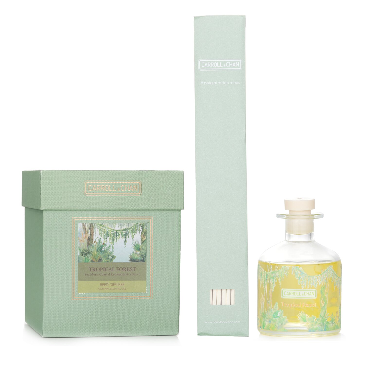 卡羅爾與陳 Carroll & Chan - 擴香枝補充裝禮盒 - # Tropical Forest (Sea Moss, Coastal Redwoods & Vetiver)