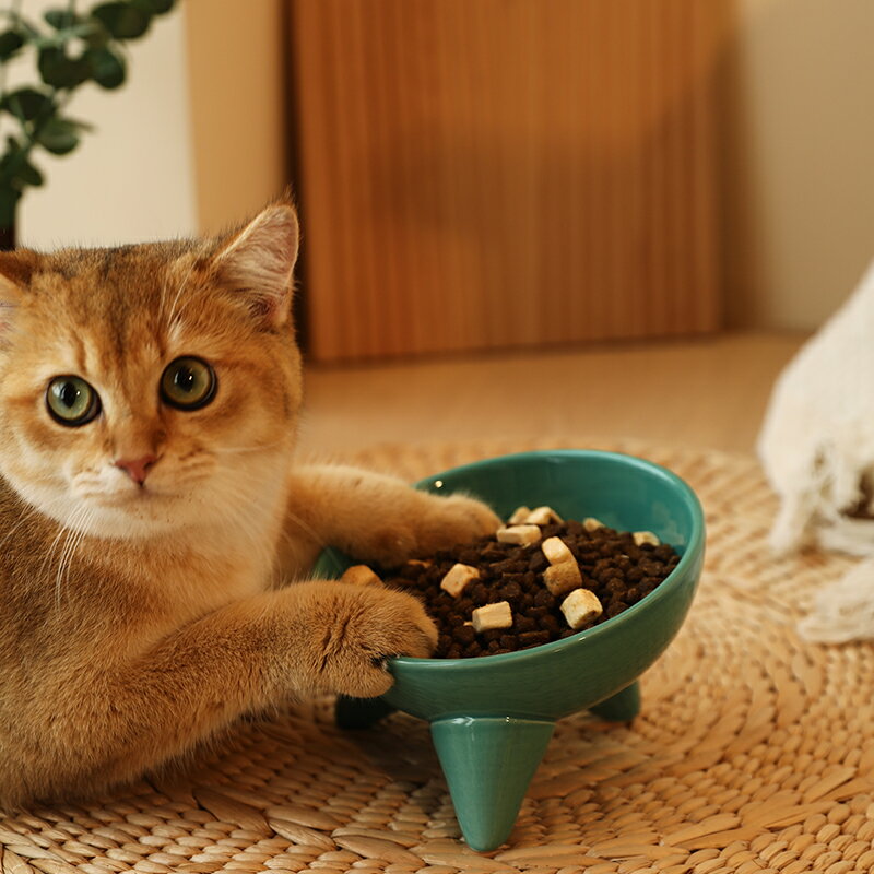 貓碗陶瓷寵物碗保護頸椎貓咪飯碗糧碗防打翻斜口碗寵物碗狗貓食盆