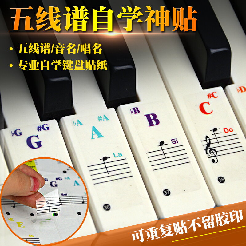 鍵琴貼 音符鍵位貼 五線譜自學鋼琴鍵盤貼紙透明貼膜電子琴手風琴37彩色61輔助88配件『cyd12637』