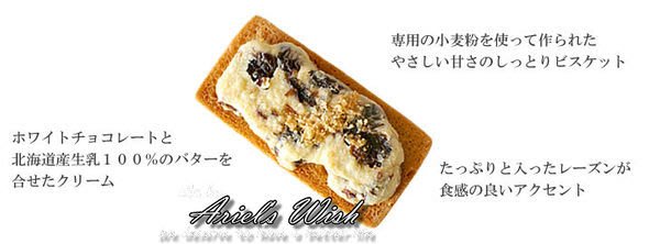 （全面預購制須先付全額）日本北海道名產六花亭必買伴手禮-好好吃萊姆葡萄奶油夾心餅乾16入款賣場-請先詢問 3