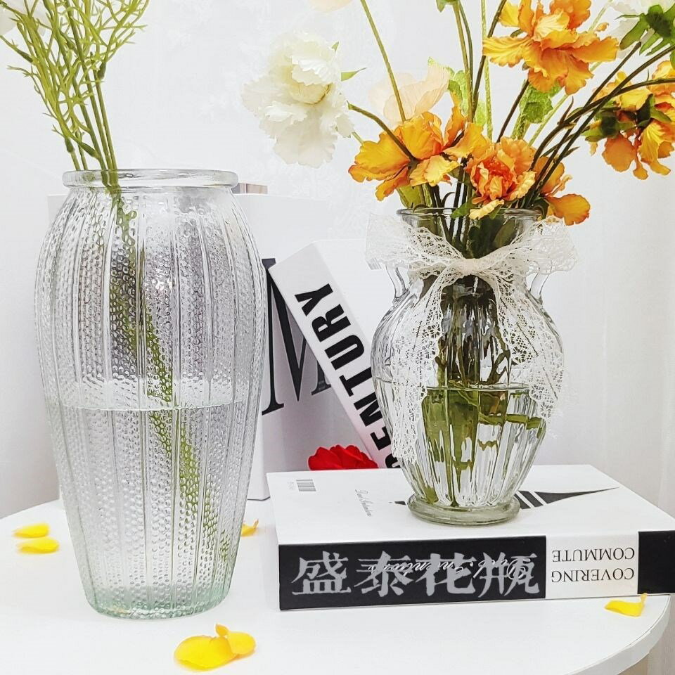 歐式透明玻璃花瓶簡約鮮花干花玫瑰花瓶客廳擺件裝飾創意水養插花