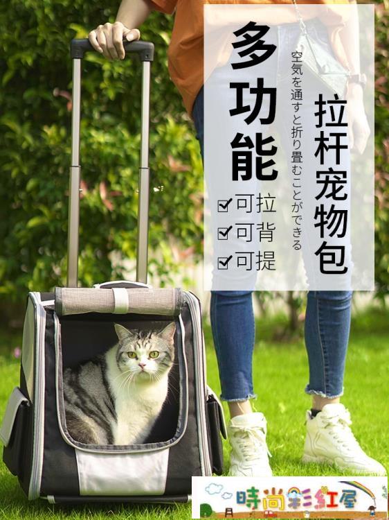 寵物包大號貓包透氣雙肩大容量兩只便攜帶背包夏天貓咪外出 全館免運
