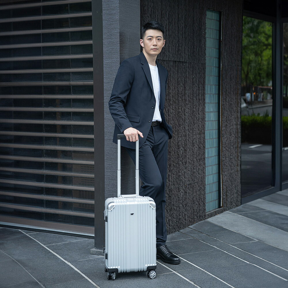 【BRAUN BUFFEL 德國小金牛】臺灣總代理 伊斯瑪 20吋行李箱-銀色/BFL01-81-SV