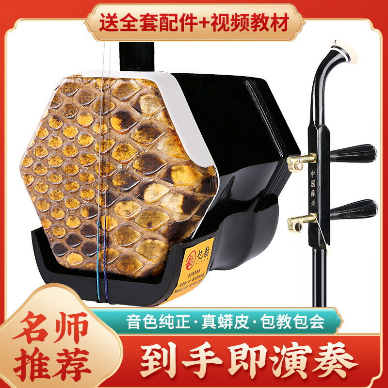蘇州二胡民族樂器初學者成人演奏入門級二胡胡琴廠家直銷 鑫弘-戶外運動
