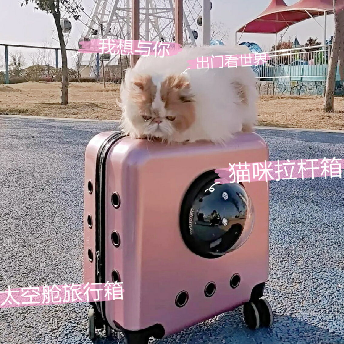 貓包外出便攜拉桿行李箱貓背包大容量兩只貓咪太空艙寵物冬季透氣
